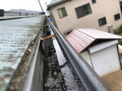 雨樋劣化