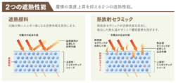 シャネツテックSi