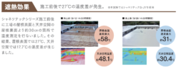 シャネツテックSi